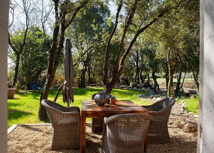 Les Libellules Du Gard - Le Jardin Secret De Madame Truc Fontarèches