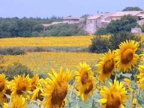 Les Libellules Du Gard - Le Jardin Secret De Madame Truc Сasa de vacaciones Fontarèches